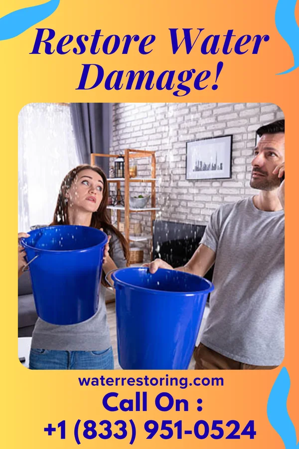 water restoration Elite Water Damage Group Archbold