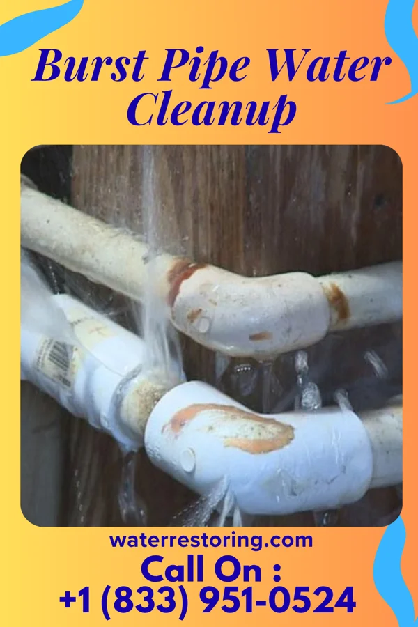 Burst Pipe Water Cleanup in Archbold, OH