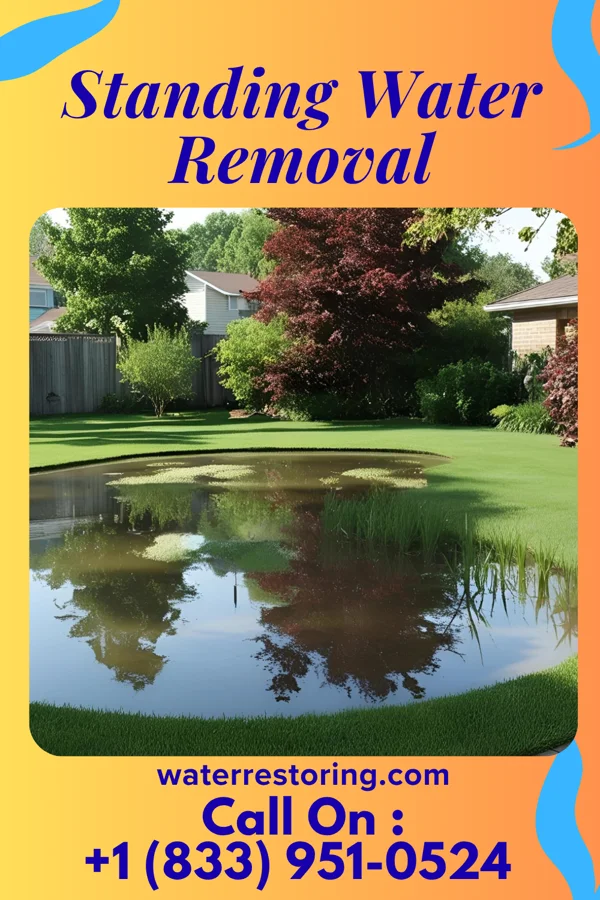 Standing Water Removal in Archbold, OH